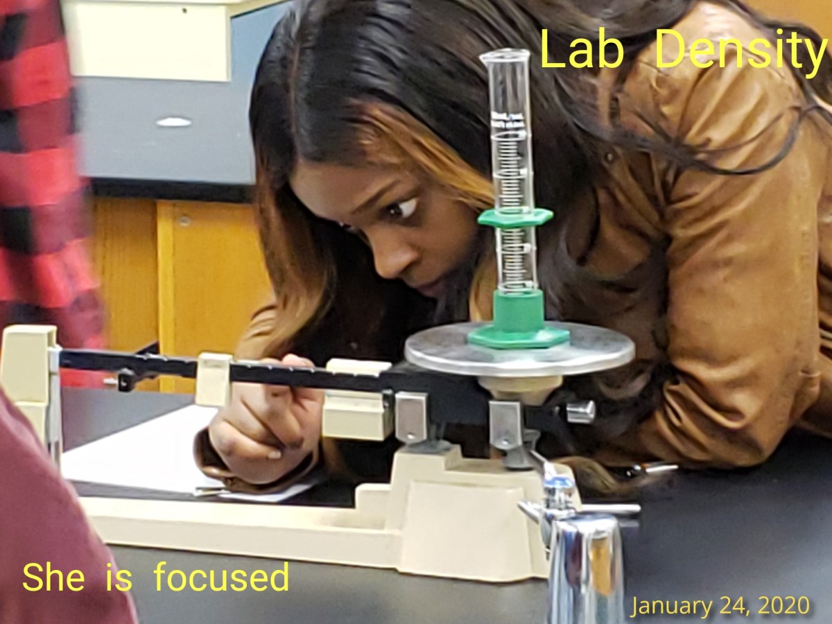 Density Lab